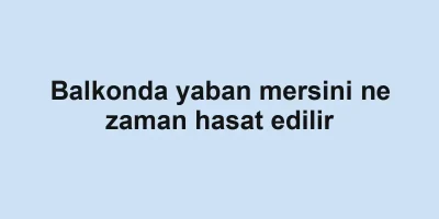 Balkonda yaban mersini ne zaman hasat edilir