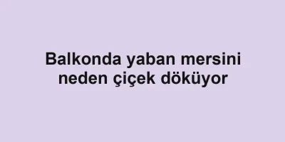 Balkonda yaban mersini neden çiçek döküyor