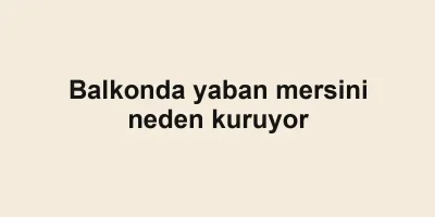 Balkonda yaban mersini neden kuruyor
