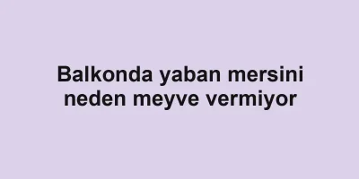 Balkonda yaban mersini neden meyve vermiyor