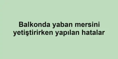 Balkonda yaban mersini yetiştirirken yapılan hatalar