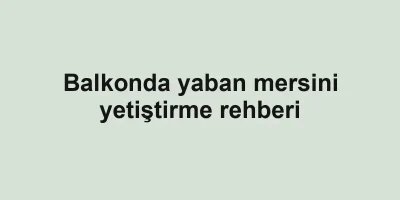 Balkonda yaban mersini yetiştirme rehberi