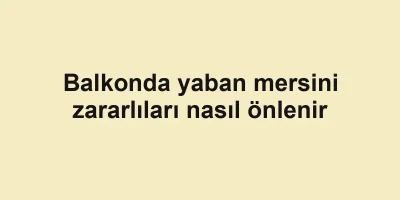 Balkonda yaban mersini zararlıları nasıl önlenir